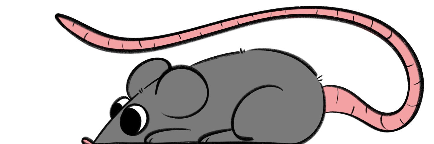 SorryImStupidRn's profile banner image