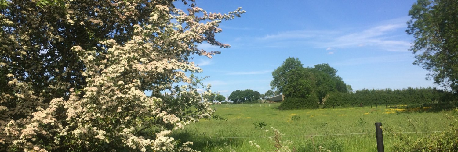 Mark George Goacher banner