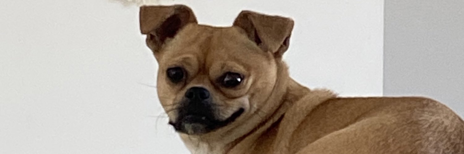 Mitchayra's profile banner image