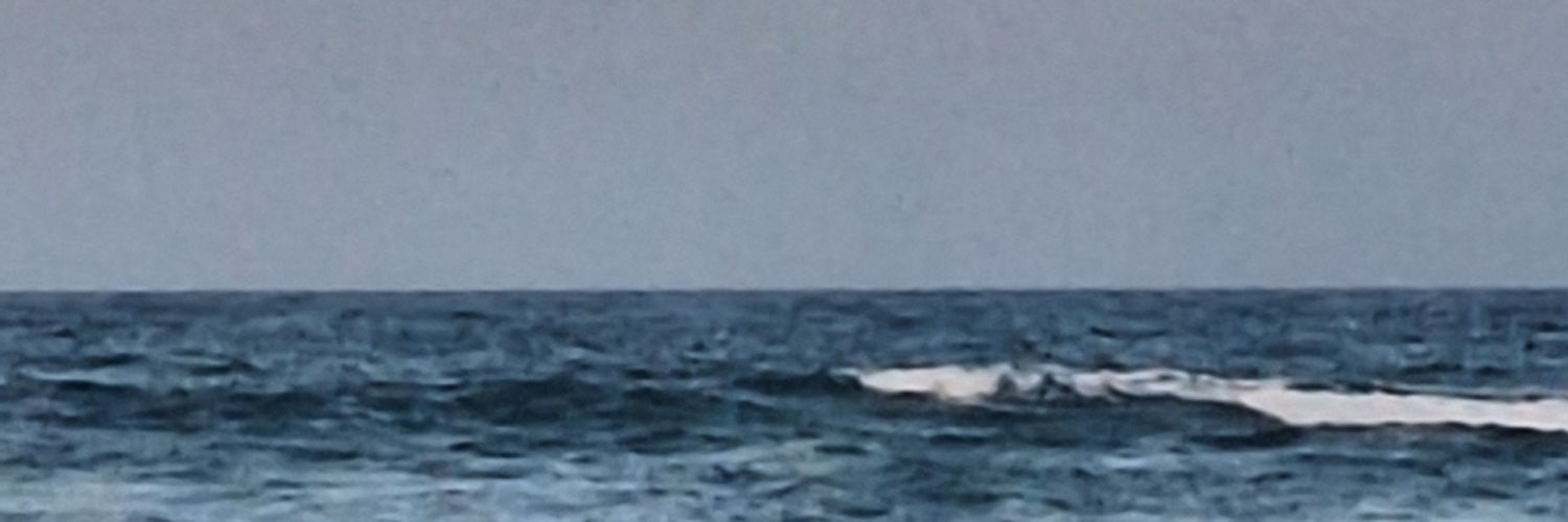 Valacirca 🐲 banner