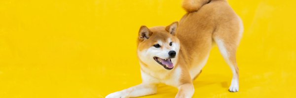 noyutarun03 Profile Banner