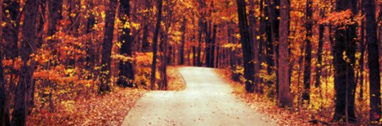 Dottie's Daily Deals banner