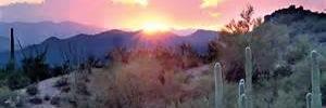 Marisol_Intuit's profile banner image