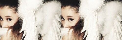 angel 🪽 ꕤ banner