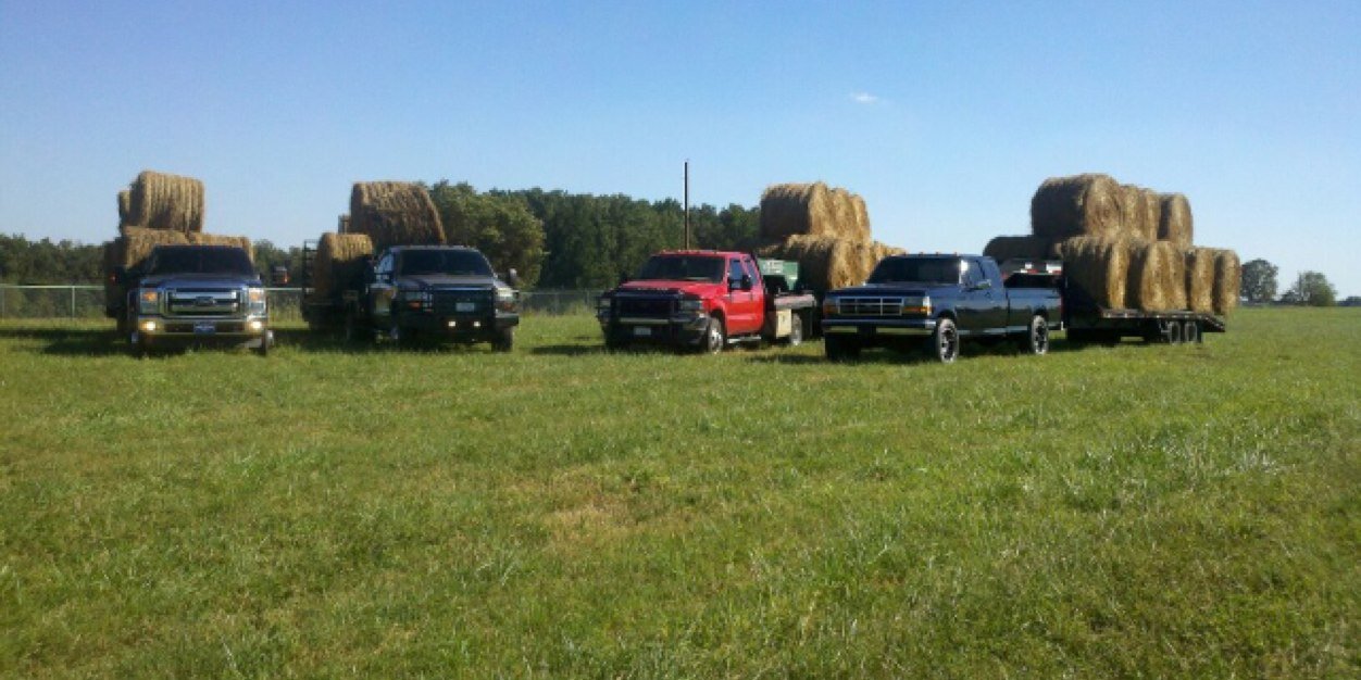 William Simmons banner