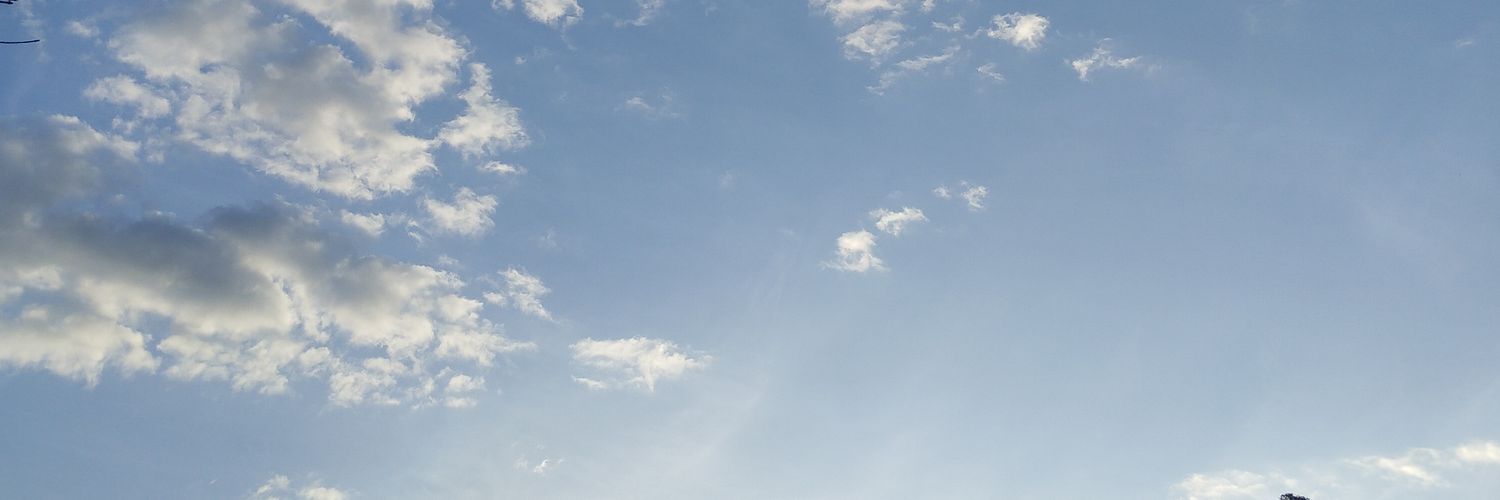 oRmaia's profile banner image