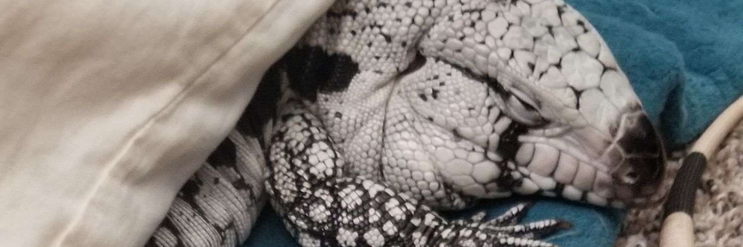 Bahaiawatha Muldoon banner