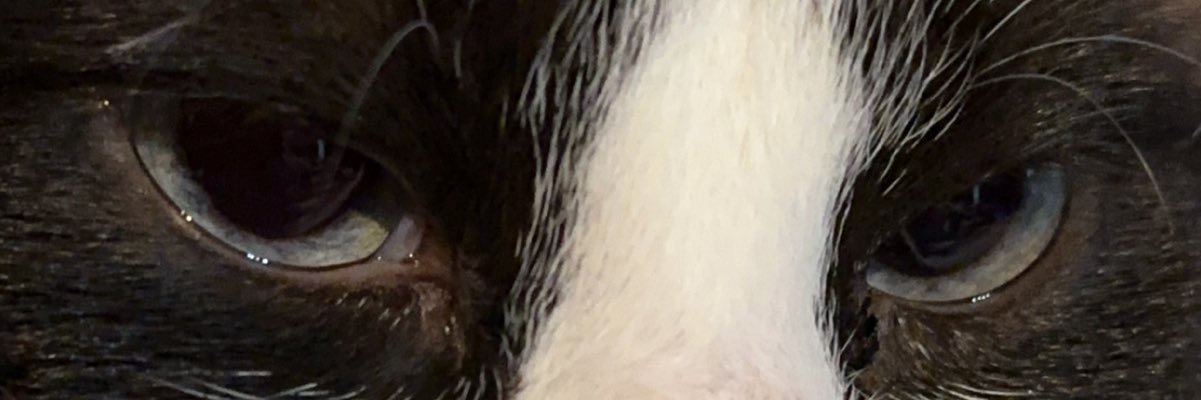 DREX banner