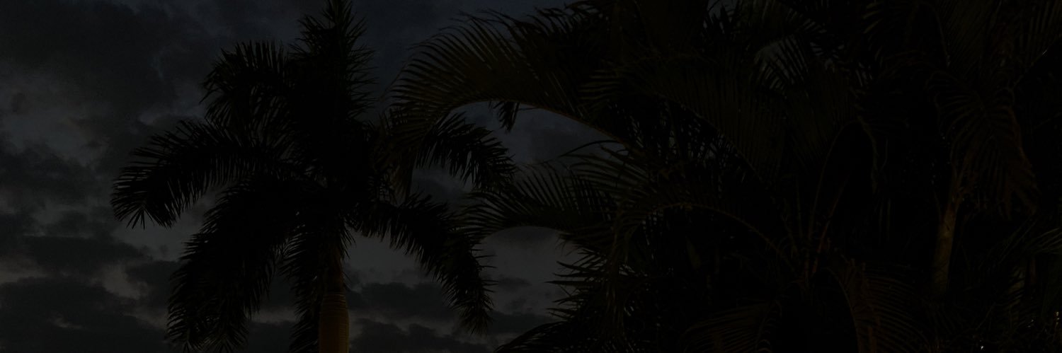 lamiaayou's profile banner image