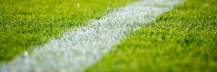 BMF │ The Big Man Foundation banner