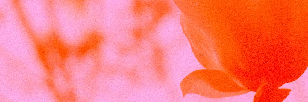 ciara_mandich's profile banner image