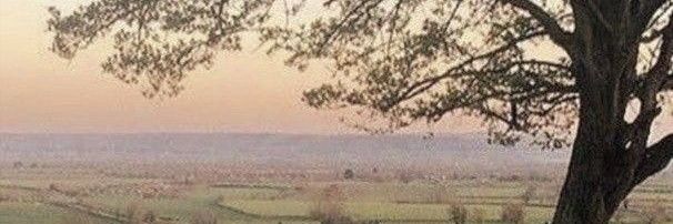 sunshyuck's profile banner image