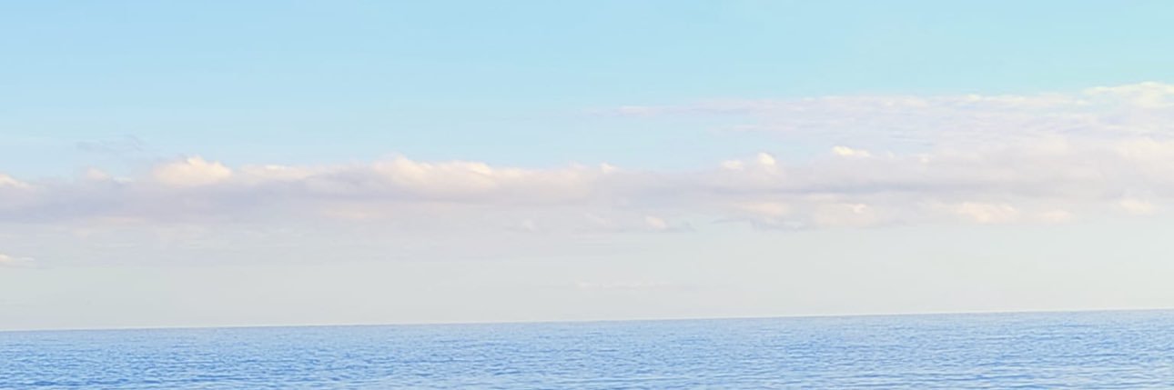 Manuel de Jesus banner