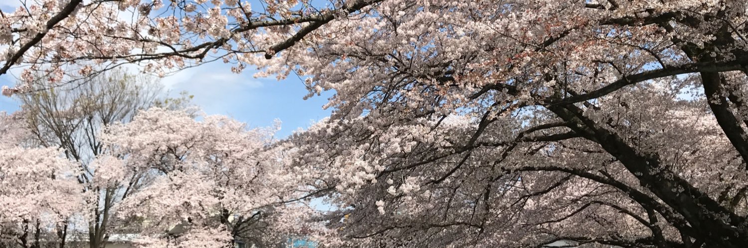 tetsu_aniwi's profile banner image