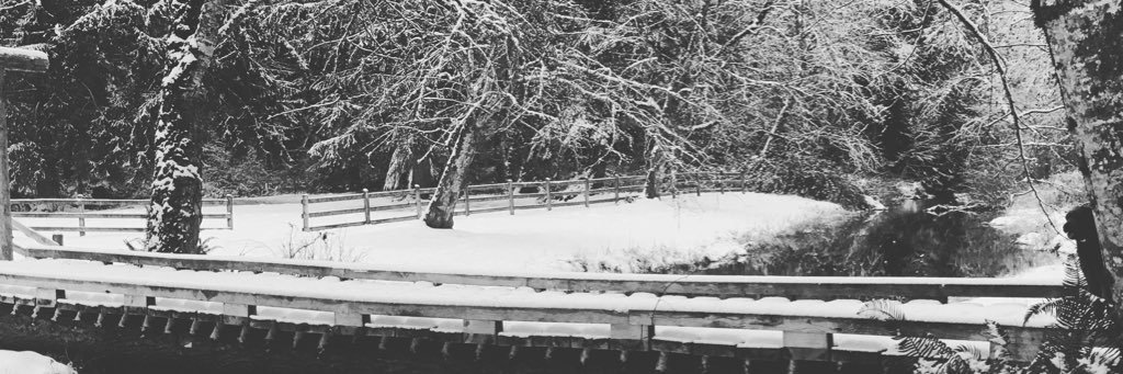 lizziesmadness's profile banner image