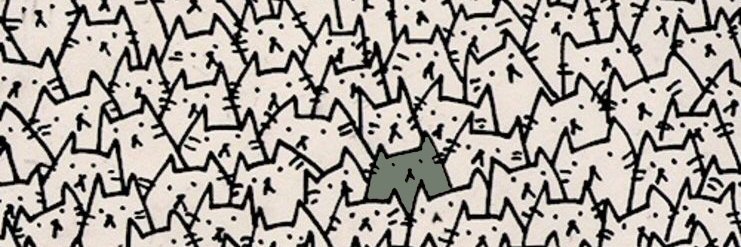 Kitten 💖🐈's banner