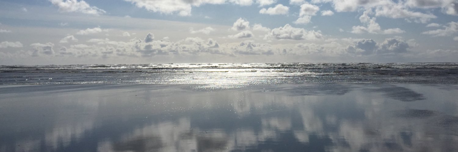 carolyn_sharp's profile banner image
