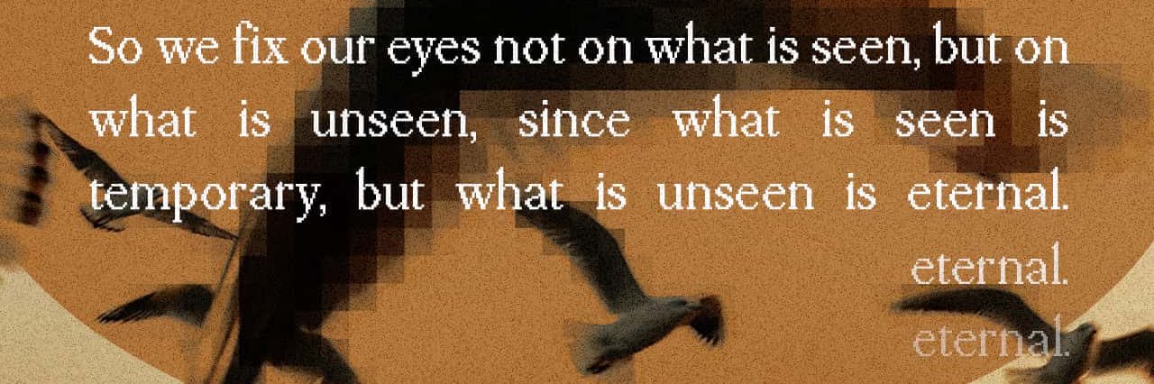 •ᴗ• ‎ banner