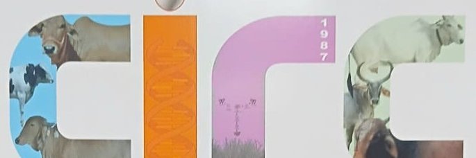 ICAR_CIRC's profile banner image