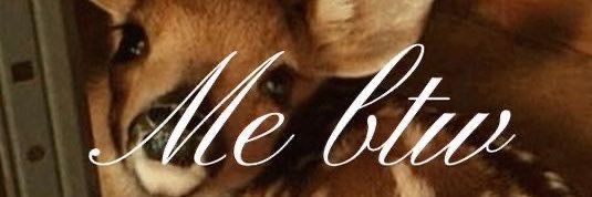 CarolinaCF2000's profile banner image