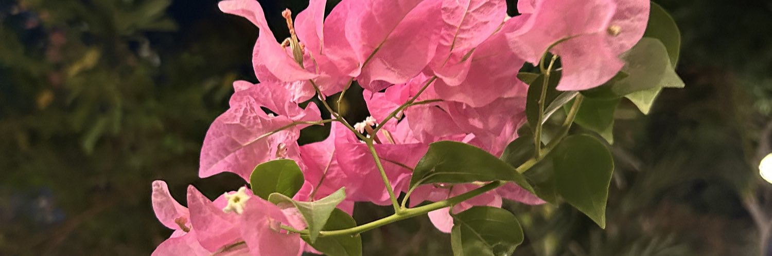 ughditty's profile banner image