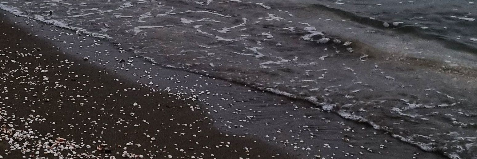 ocean 🌊 banner