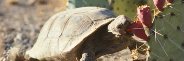 bethncooper Profile Banner