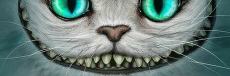 katguzvel's profile banner image