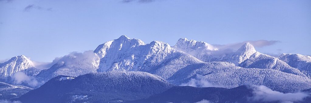 HxO | MaxWiser banner