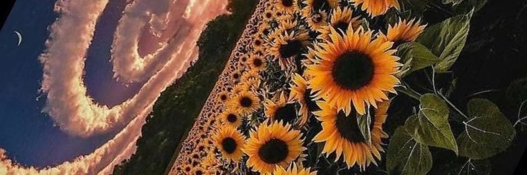 Rustyalsup's profile banner image
