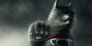dortoner's profile banner image