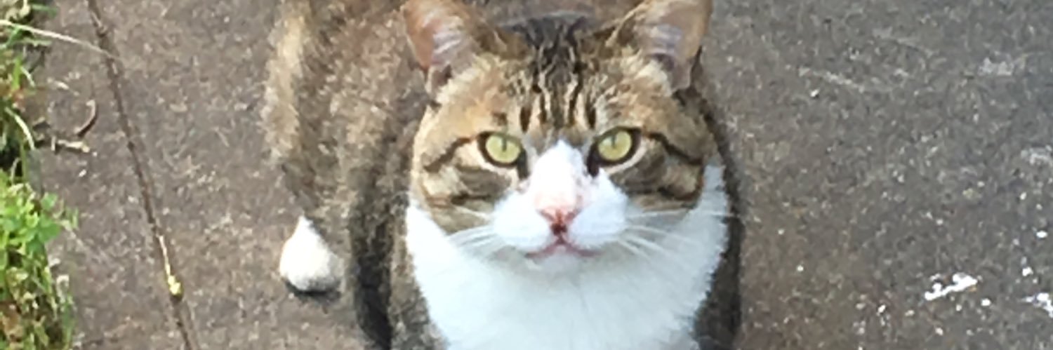 orangerail7007's profile banner image