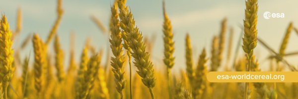 ESA_WorldCereal Profile Banner