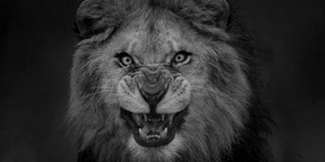 SawxSamuel's profile banner image