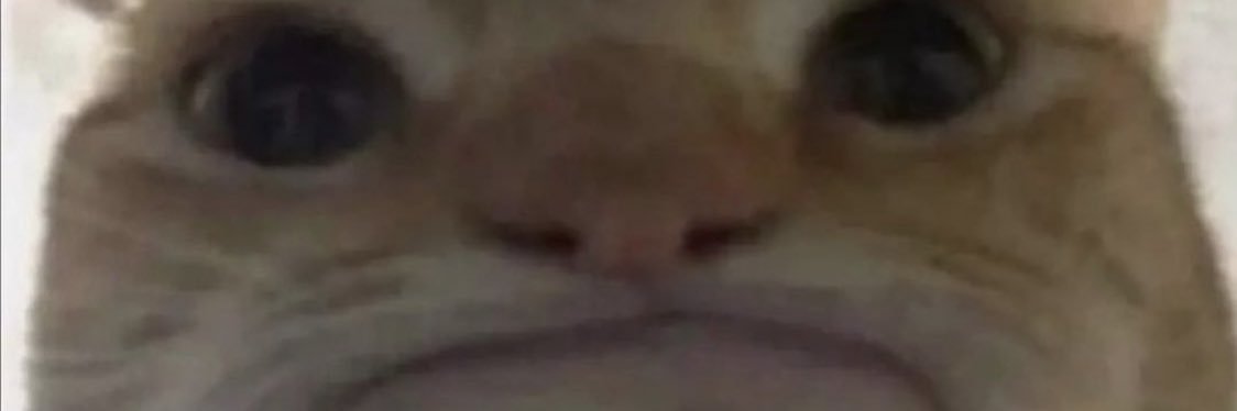 shlebsie's profile banner image