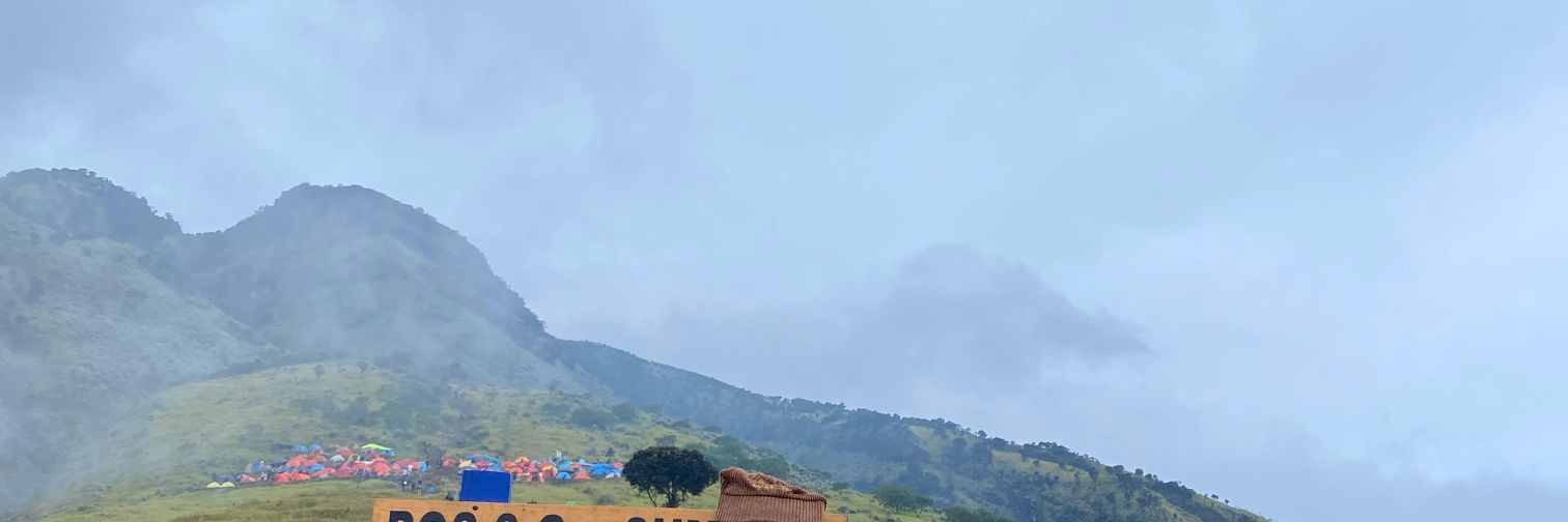 ww banner
