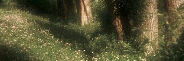 mintswift's profile banner image