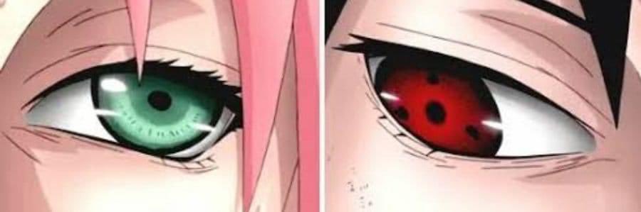 daegalabeojji's profile banner image
