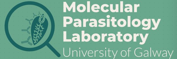 MPL_UniOfGalway Profile Banner