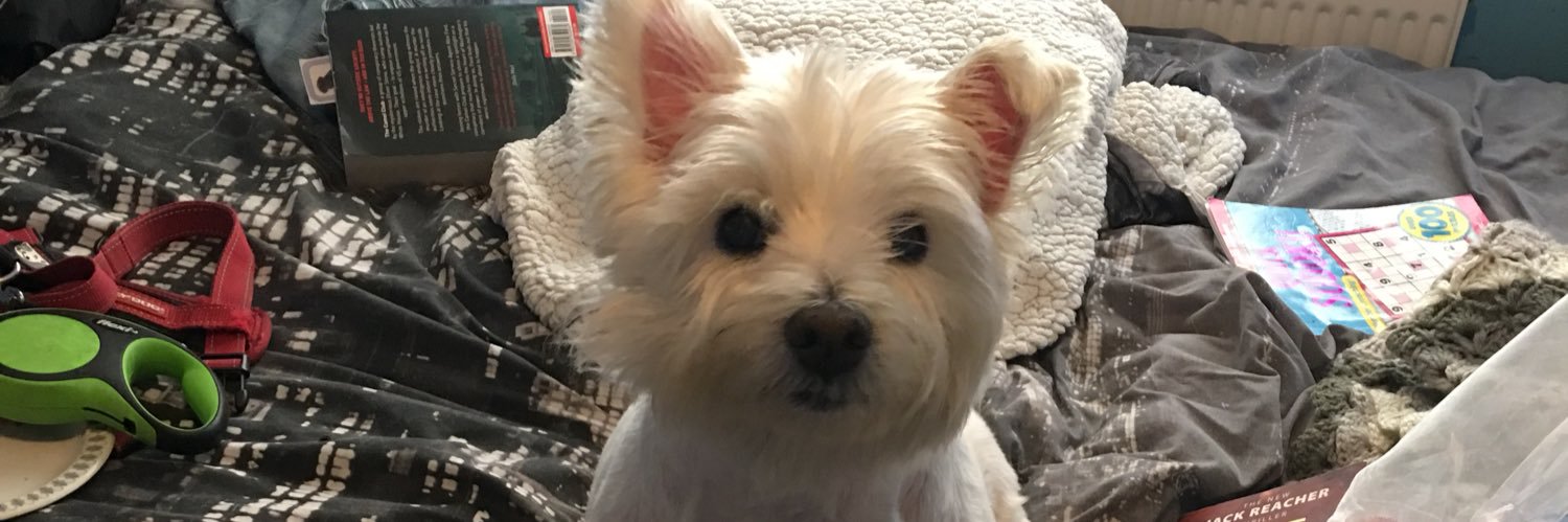 Charlibabe1977's profile banner image