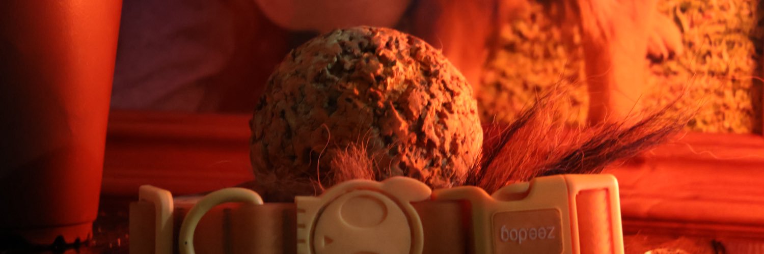 Ana Karina Nuñez banner