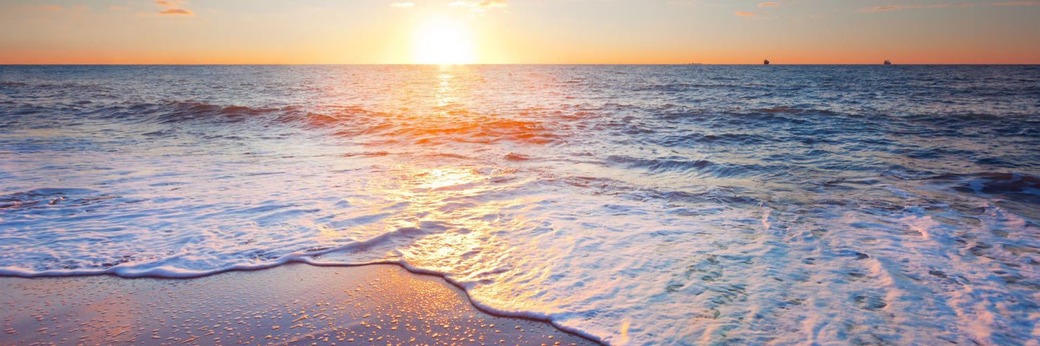 Albert Vallribera banner