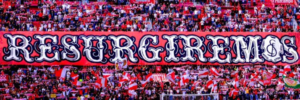 CaroSurSur Profile Banner
