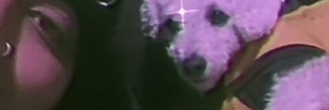 AcidMambo's profile banner image
