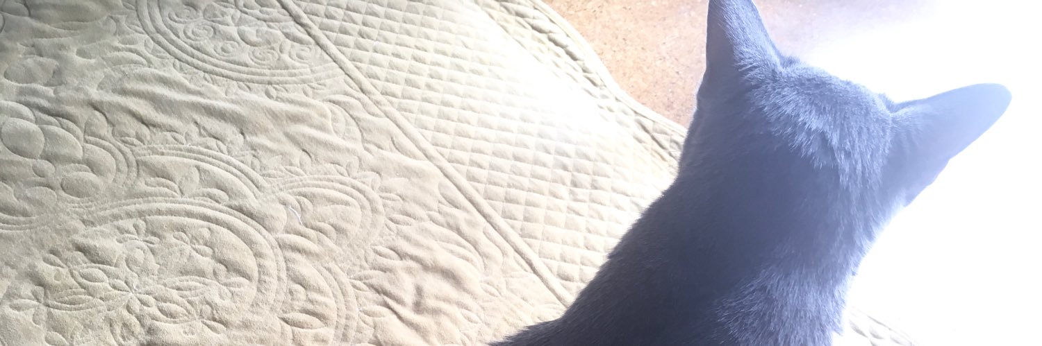 out_freakin's profile banner image