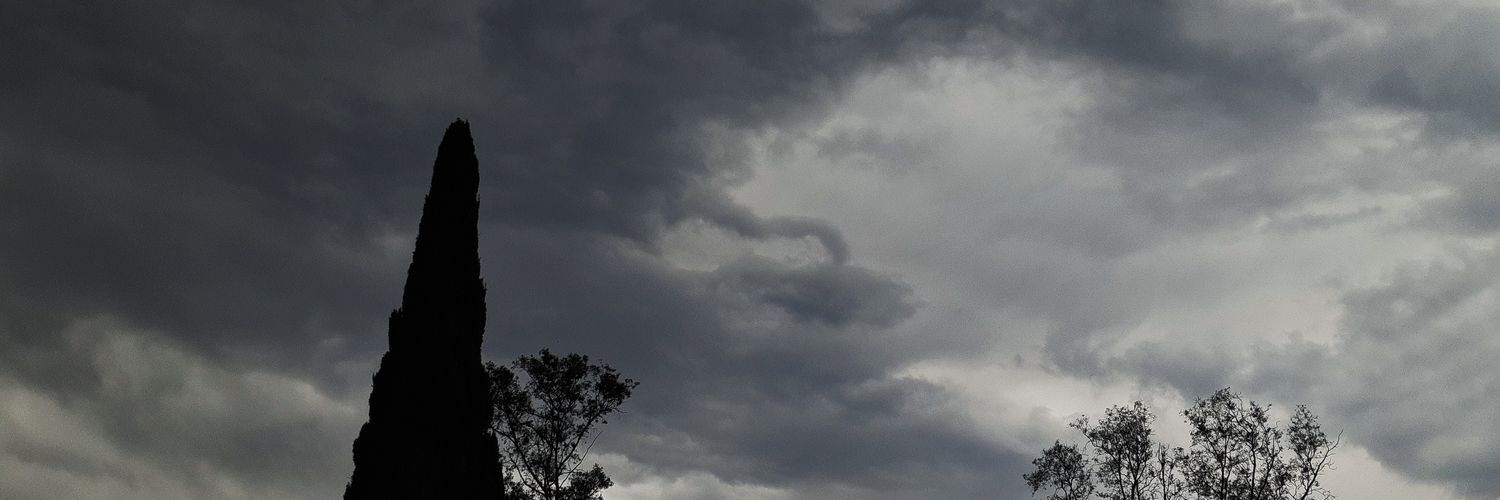 yanver's profile banner image