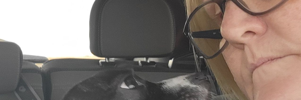 Lars_Jode's profile banner image