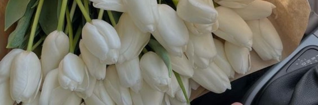 daniicasti's profile banner image