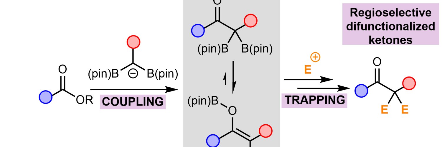 Pattison Group banner