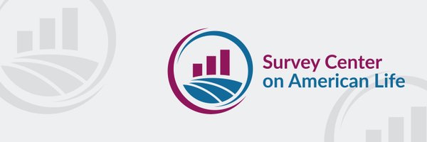 amersurveyctr Profile Banner